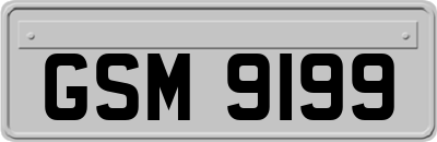 GSM9199