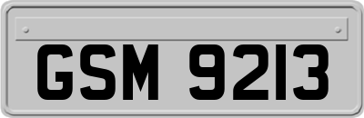 GSM9213
