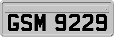 GSM9229