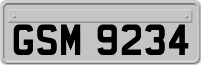 GSM9234