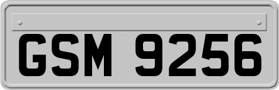 GSM9256