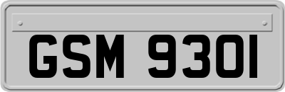GSM9301
