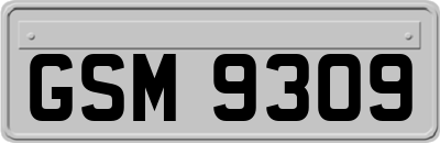GSM9309