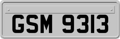GSM9313