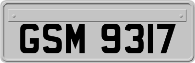 GSM9317