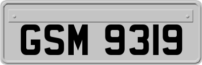 GSM9319