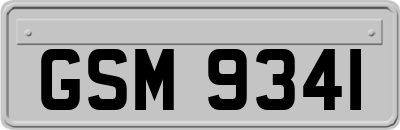 GSM9341