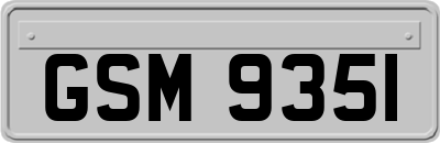 GSM9351