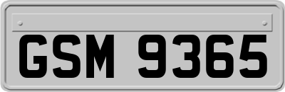 GSM9365