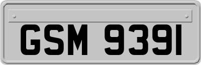 GSM9391