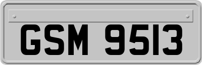 GSM9513
