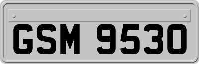 GSM9530