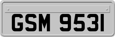 GSM9531