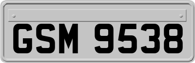 GSM9538