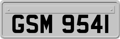GSM9541