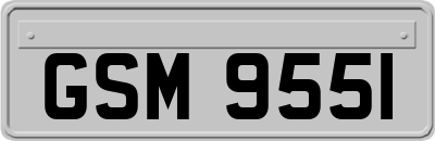 GSM9551