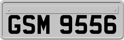 GSM9556