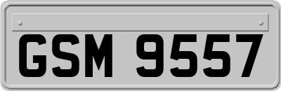 GSM9557
