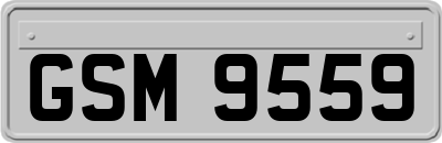 GSM9559