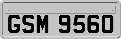 GSM9560