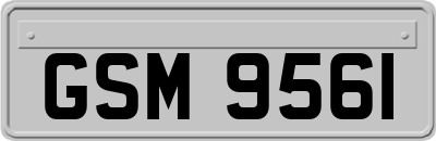 GSM9561