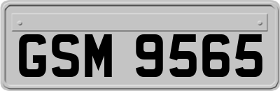 GSM9565