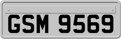 GSM9569