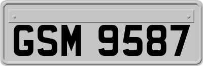 GSM9587