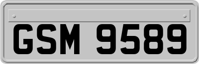 GSM9589
