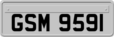 GSM9591