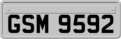 GSM9592