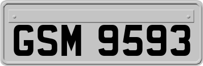 GSM9593