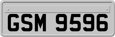 GSM9596