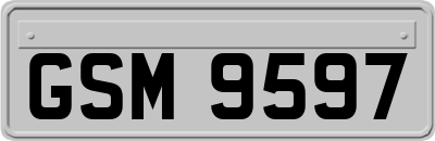 GSM9597