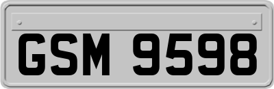 GSM9598