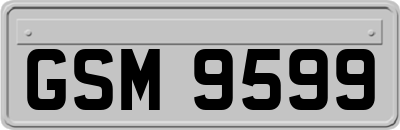 GSM9599
