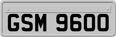 GSM9600