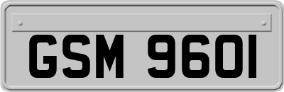 GSM9601