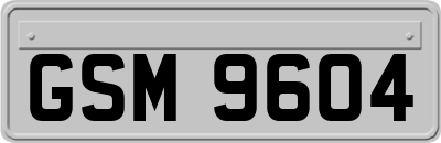 GSM9604