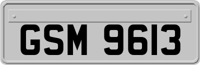 GSM9613