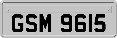 GSM9615