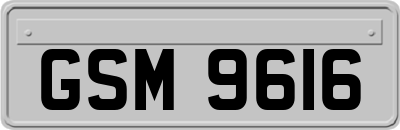 GSM9616