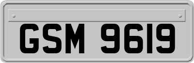 GSM9619