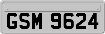 GSM9624