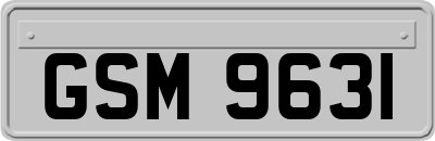 GSM9631
