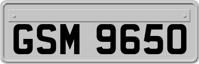 GSM9650