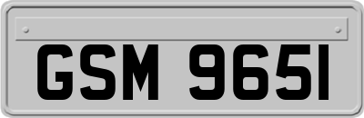 GSM9651