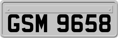 GSM9658