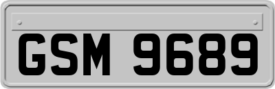 GSM9689