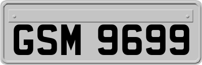 GSM9699